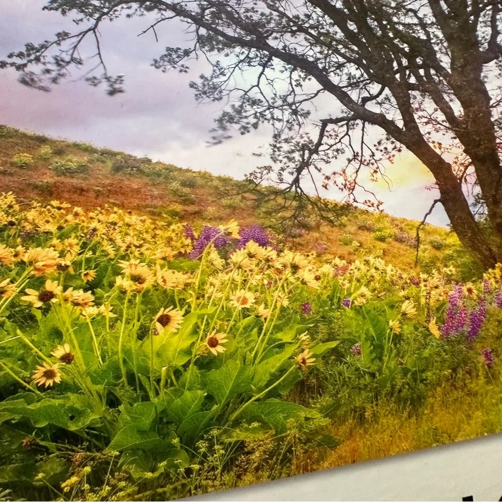 MEGA PUZZLES 500 piece landscape puzzle